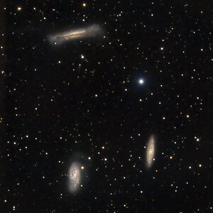 Leo Triplett