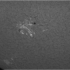 sun0006-14-33-28_bw_a.jpg