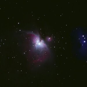 Mein erstes Bild: Orion Nebel