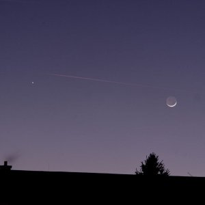IMG_0356_DxO.jpg