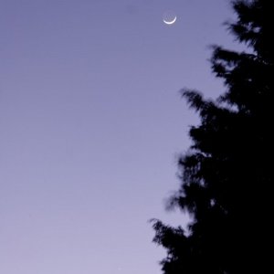 IMG_0369_DxO.jpg
