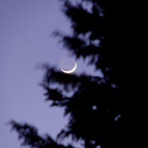 IMG_0381_DxO.jpg
