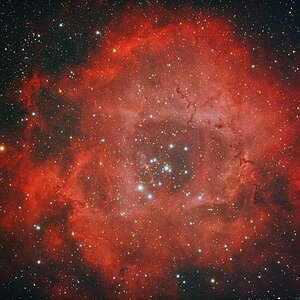 Rosettennebel + NGC2244
