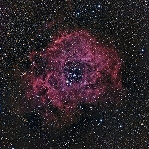 NGC2238