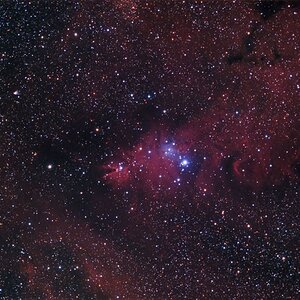 NGC2264 und Umgebung