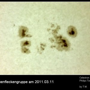 Sonnenfleckengruppe 11.03