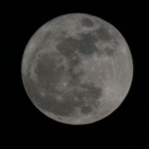 Mond Risig am Himmel 19_3_2011