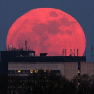 Vollmond_Aufgang_19_3_2011_Bild_1_klein.jpg