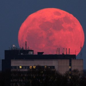 Vollmond_Aufgang_19_3_2011_Bild_2_klein.jpg