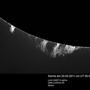 Sonne H-alpha 20.03.2011