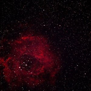 NCG2238