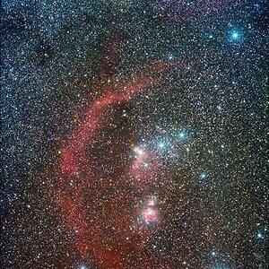Orion