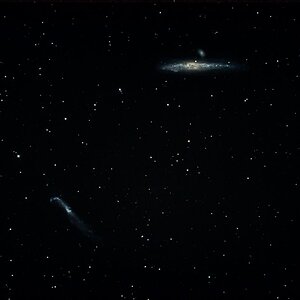 Heringsgalaxie