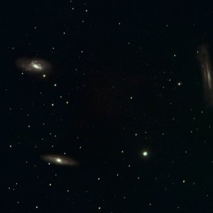 Leo Triplett