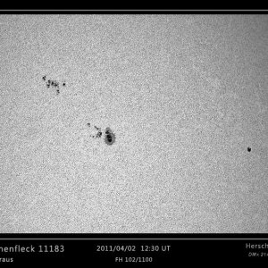 Sonnenfleck 11183  02-04-2011.jpg