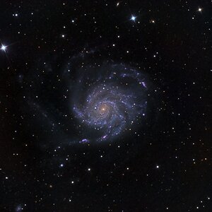 M101