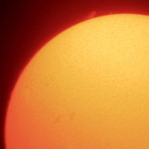 Sonne H-alpha 8.4.11 11:55UT