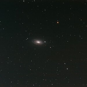 M63-Sunflower-Galaxie