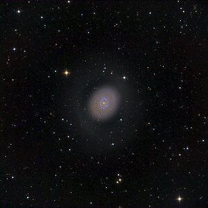M94