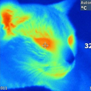 IR000057.jpg