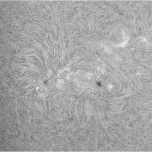 Sonnenfleck 1193