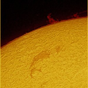 Sonne 11-04 mit auseinandergefallenen Fisch