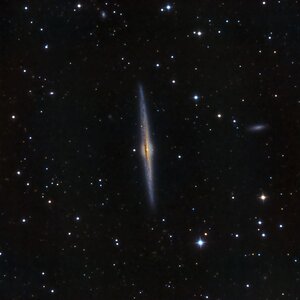 NGC4565