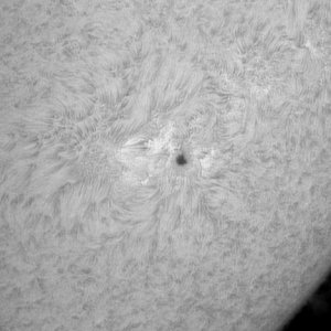 Sonne 22_4_2011_Bild_3.jpg