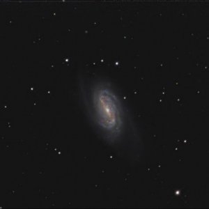 ngc2903