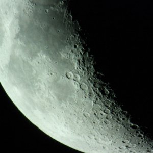 IMG_0893.jpg