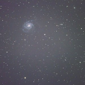 M 101 First Light