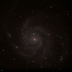 M101 am 24"