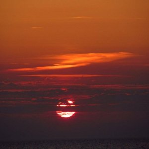 IMG_2453.jpg