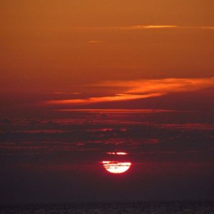 IMG_2455.jpg