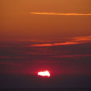 IMG_2458.jpg