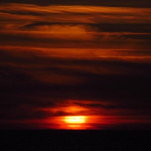 IMG_2722.jpg