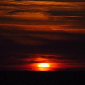 IMG_2725.jpg