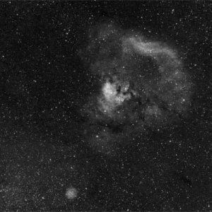 k_n7822_ha_31x8_135mm_50proz.jpg