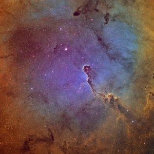 IC1396 Elefantenrüssel Nebel