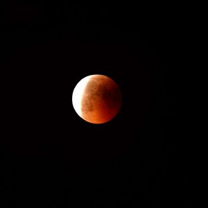 Mofi_15062011_PJ_001.jpg