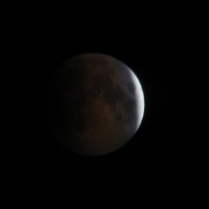 IMG_4932.JPG