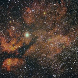 IC 1318 - Gamma Cygnus Nebel