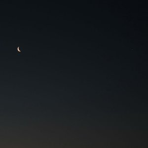 IMG_0645.JPG