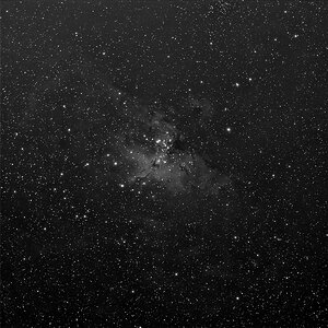 M16 - Adlernebel
