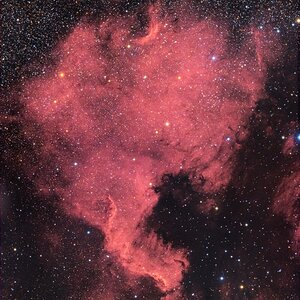 NGC7000