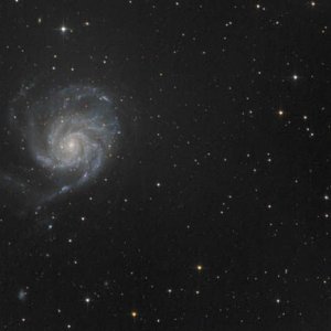 k_m101_29x8_8zoll_50proz.jpg
