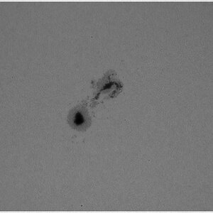 Sonnenfleck AR 1263 am 02.08.2011