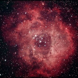 Rosette