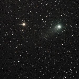 Gerradd_HIP100276_small.jpg