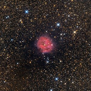 IC5146